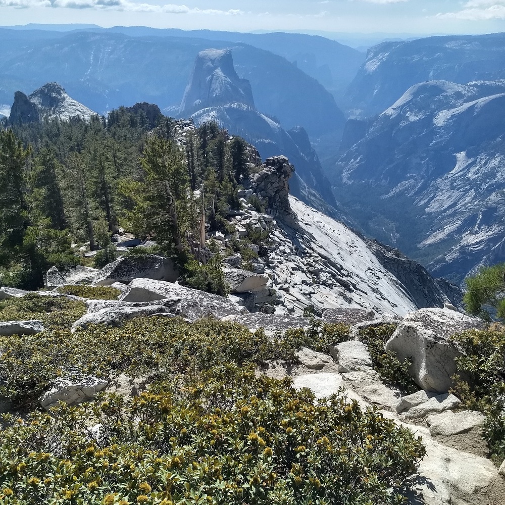 Meet your Posher, Knitternerd